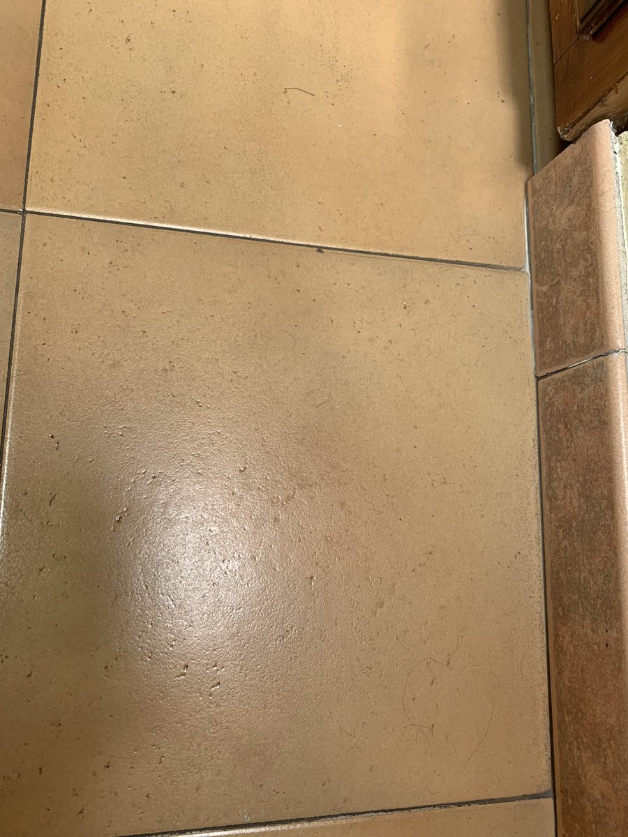 VeronicaVain's tweet photo. @AirbnbHelp hi! We are in Sanremo yesterday. Arrived to a dirty flat, we talked to our host. They sent cleaners to the flat - that did not clean it properly. Our host says there is no more he can do. The flat is covered with black hairs everywhere and is disgusting. https://t.co/Qd25JSHVBj