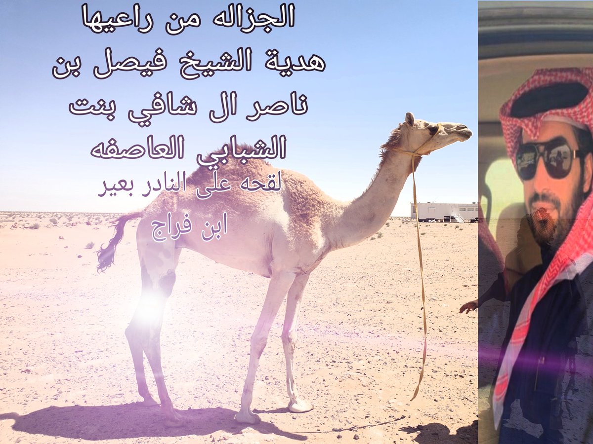 ترا الجود ورث جدود ماينشري باثمان
يافيصل ولد ناصر ذخر بالفخر شافي
بذلتو لما صرتو بوجه الكرم عنوان
هل السيف والمحزم لياغضرم الصافي
هواجر ليا وجه الزمن بالمواقف شان
من انتم ذراعه من عنا الوقت ماخافي 
لاكن مننا شكراً متوج مع العرفان ولاهي غريبه بذلت الجود يالوافي.