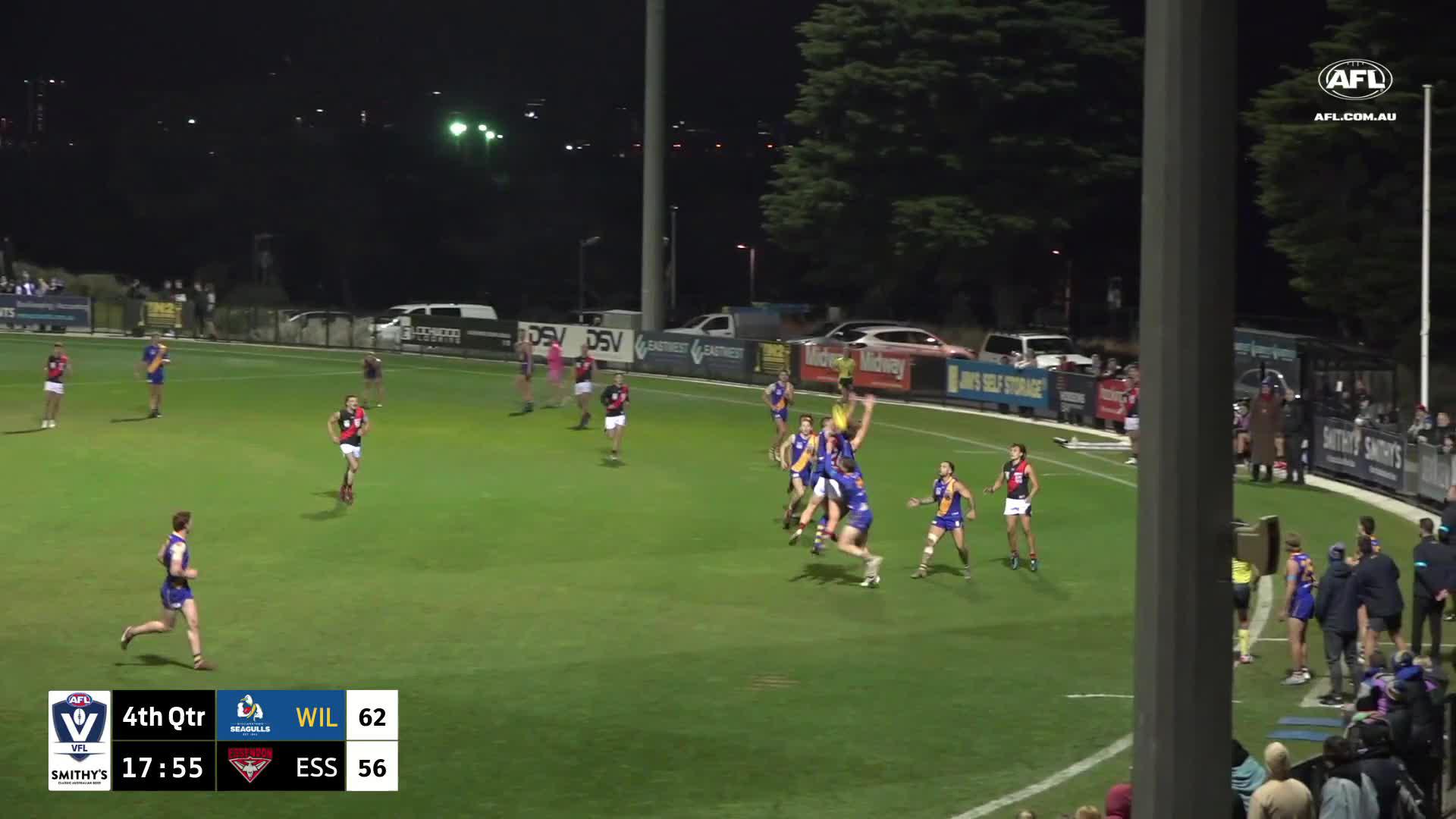 VFL / VFLW on Twitter "INCREDIBLE by Anthony Munkara 🤯 Catch all the