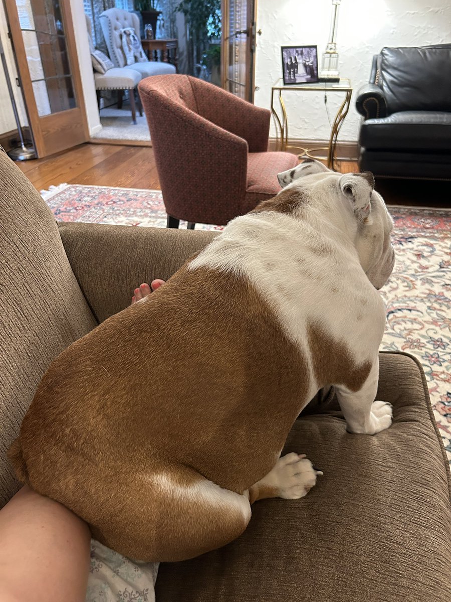 If I fits I sits.