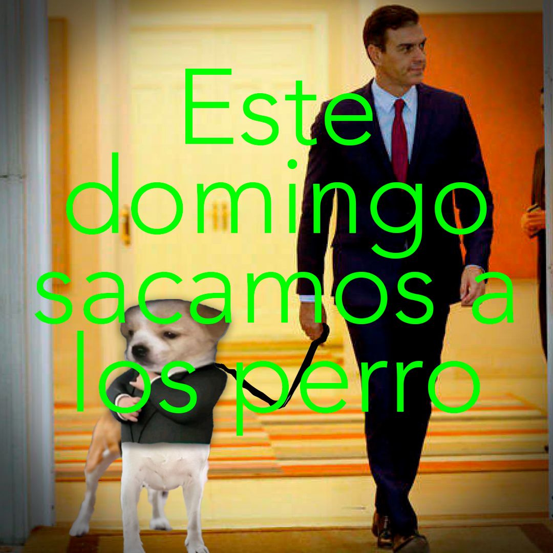 VOX 🇪🇸 (@vox_es) on Twitter photo 