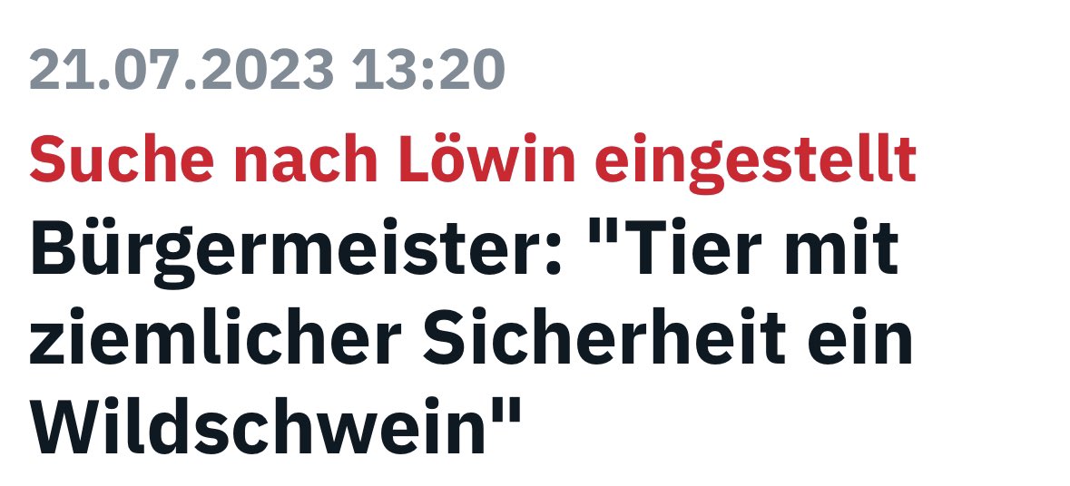 Nur Berlin verleiht dir die Power, vom Wildschwein zur #Löwin zu werden!
