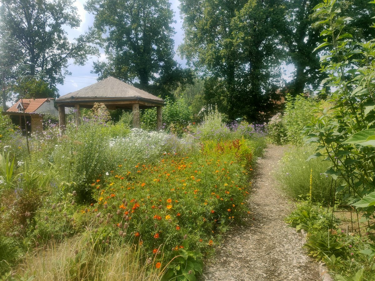 rob_televisie's tweet photo. Zorgboerderij en pluktuin Rimpeling uit Nieuwrode bezorgt sindskort ook boeketjes bloemen in woonzorgcentra. De bloemen zijn niet giftig, zodat ook dementerenden bloemen op hun kamer kunnen zetten. #robnieuws #robt https://t.co/y7DWJALRWs