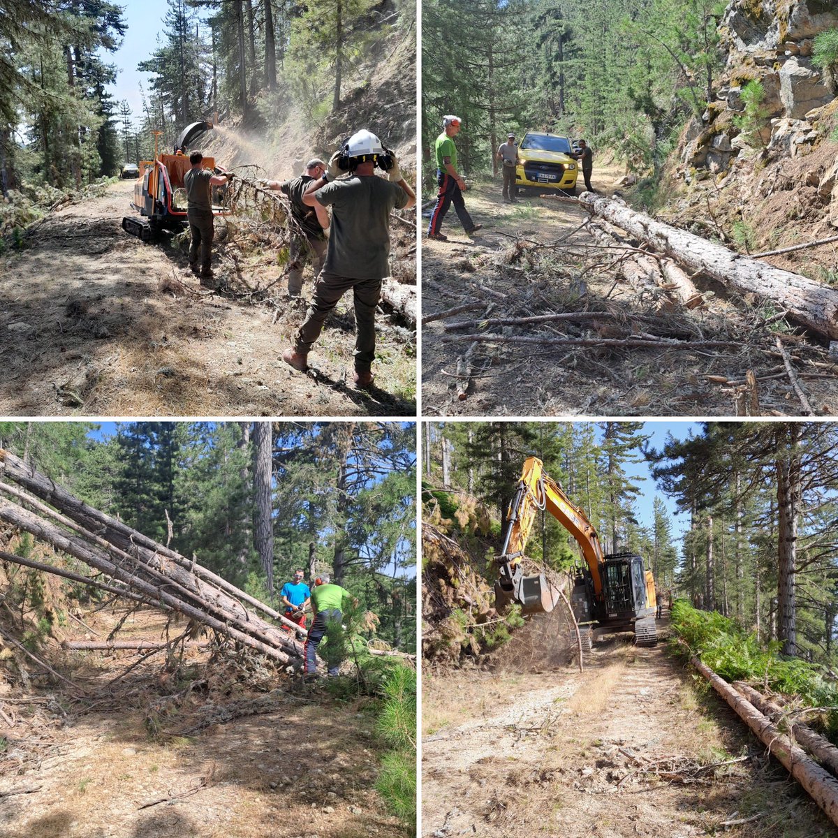 guidini_bruno's tweet image. Dégâts tempête Larisa : début travaux rétablissement, réfection piste forestière DFCI Rospa Sorba sur 2,2km par tronçonnage, broyage, mise à niveau plateforme piste  #forsap #sylviculteurs @IsulaCorsica @ONF_Officiel 
Évacuation bois dans un deuxième temps par engins spécialisés.