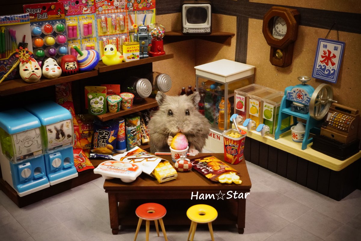 hamstar_8686's tweet photo. 【駄菓子屋】

🐹「おこづかいで買い食いしちゃいまちたよ🍭🍬🍫🍧」

#ハムスターのいる生活 
#ハムスター https://t.co/rknDqozkCJ