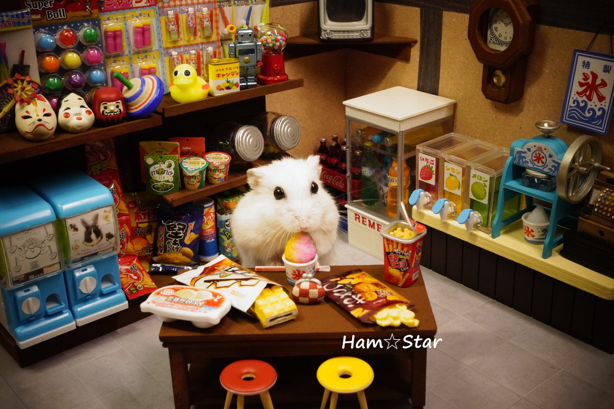 hamstar_8686's tweet photo. 【駄菓子屋】

🐹「おこづかいで買い食いしちゃいまちたよ🍭🍬🍫🍧」

#ハムスターのいる生活 
#ハムスター https://t.co/rknDqozkCJ