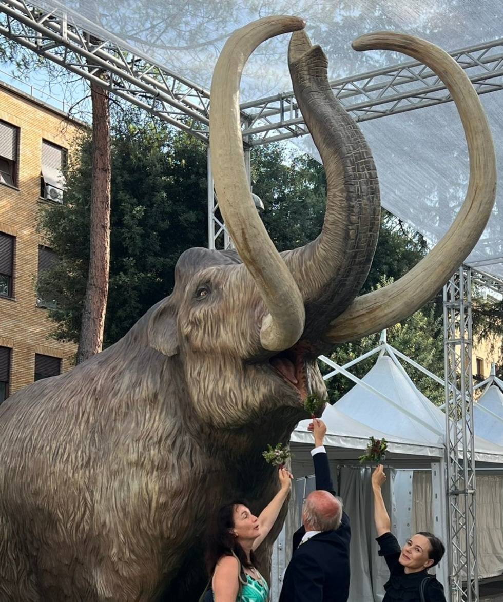 InquaRoma2023's tweet image. Please do not feed the megafauna.
Thelonius Tusk does enjoy smelling the flowers, though...