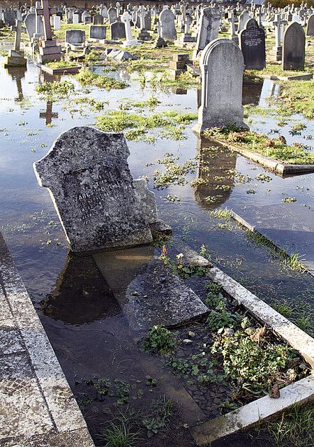 GOTHIC NATURE A tree eats a grave in Nottingham Rock Cemetery; pond plants grow out of a submerged tomb in an uncanny watery graveyard in North London