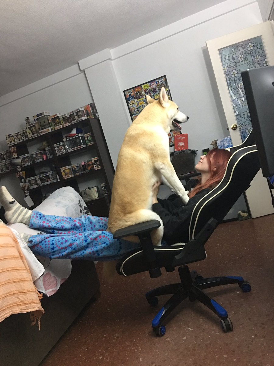 ♡ꕤ 𝑩𝒖𝒃𝒖 ❀*⁠.⁠✧ tweet media