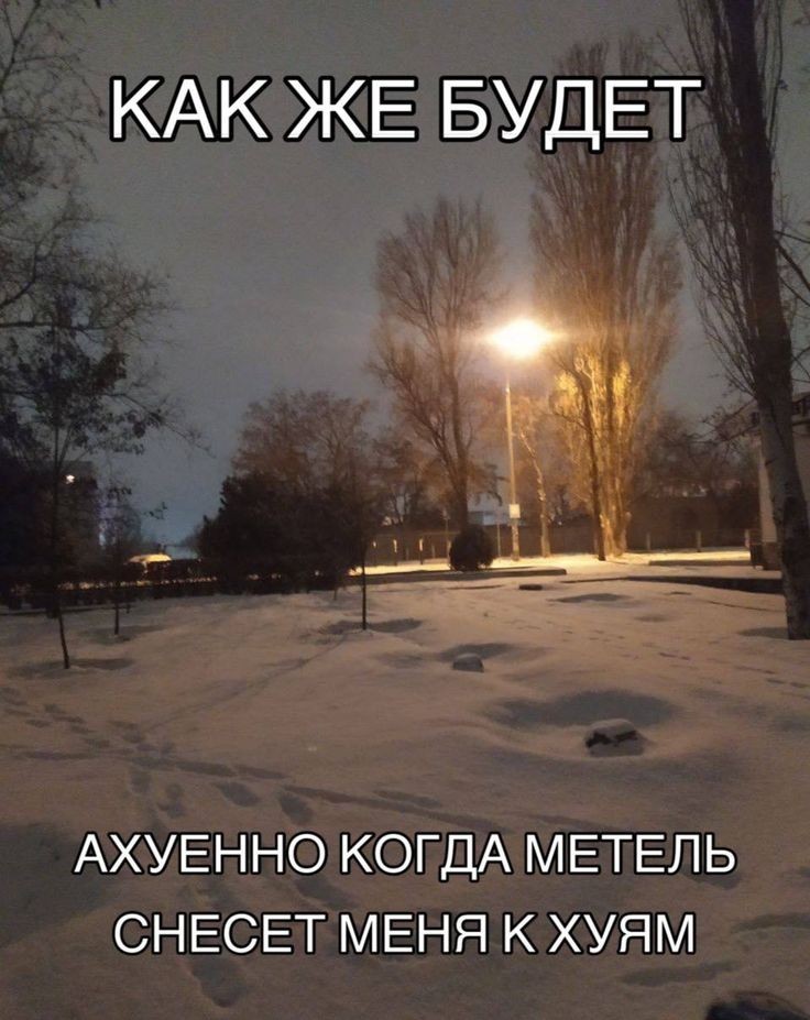 жду зиму