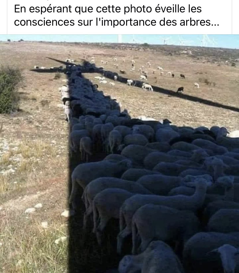 patrick_seneca's tweet image. 