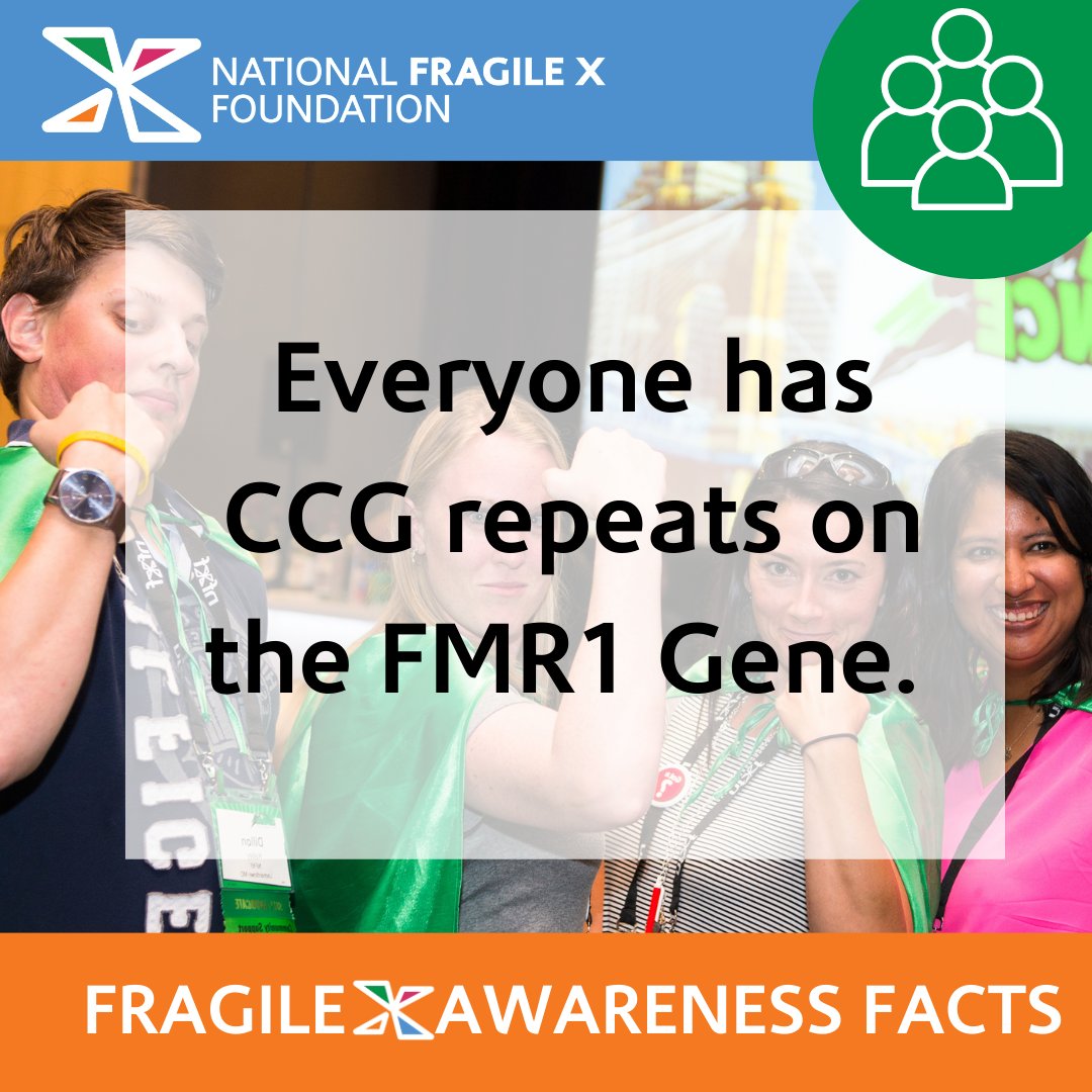 NFXFoundation's tweet photo. The FMR1 gene lives on each X chromosome. Everyone has CCG repeats on the FMR1 gene. Most people have CCG repeats below 45, which means they do not have Fragile X.

Resource: https://t.co/1jmwSA45Uo
#fragilex #fragilexawareness #nonprofit https://t.co/xuIzNXUqGP