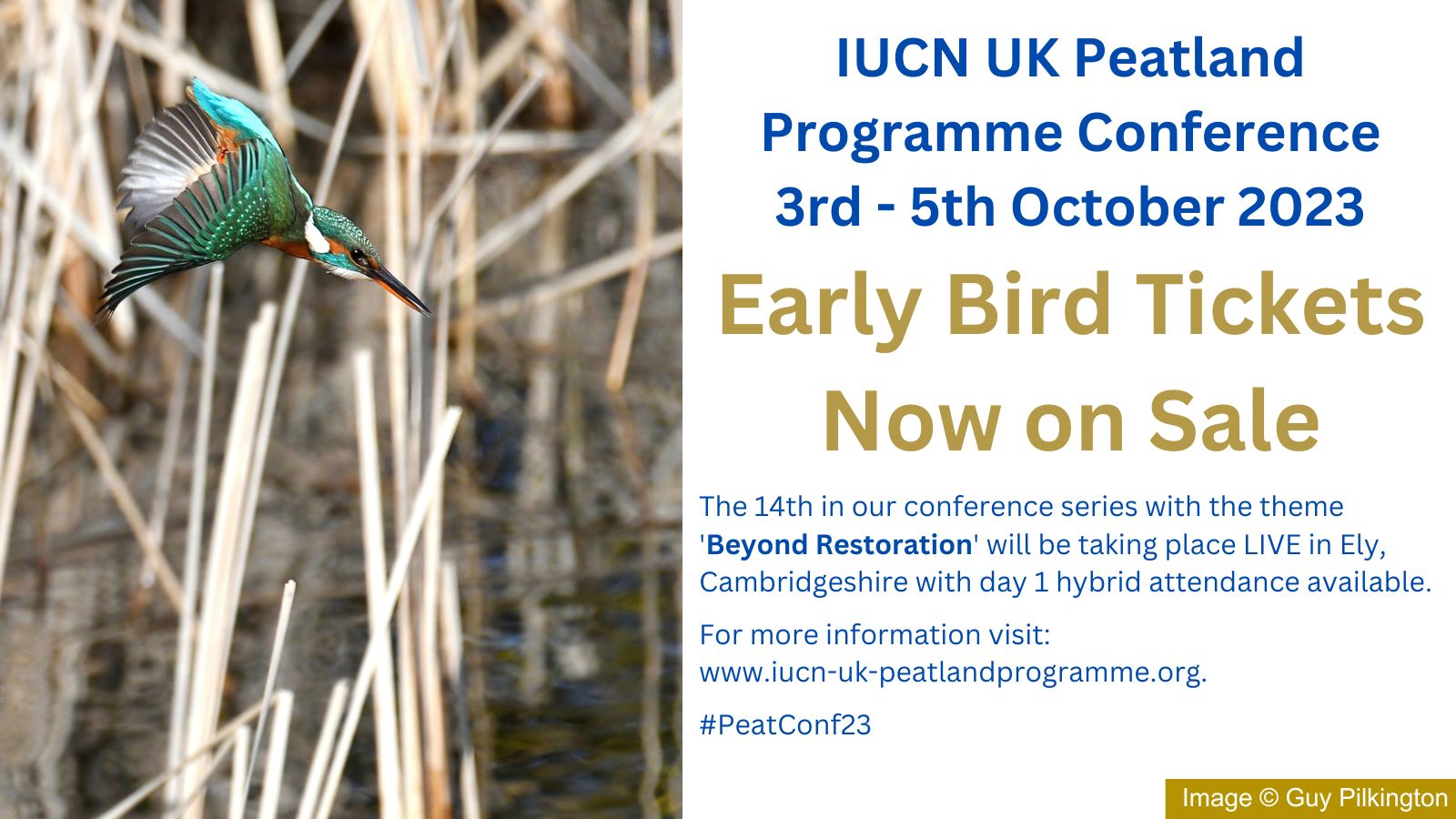 Fen Peatlands  IUCN UK Peatland Programme