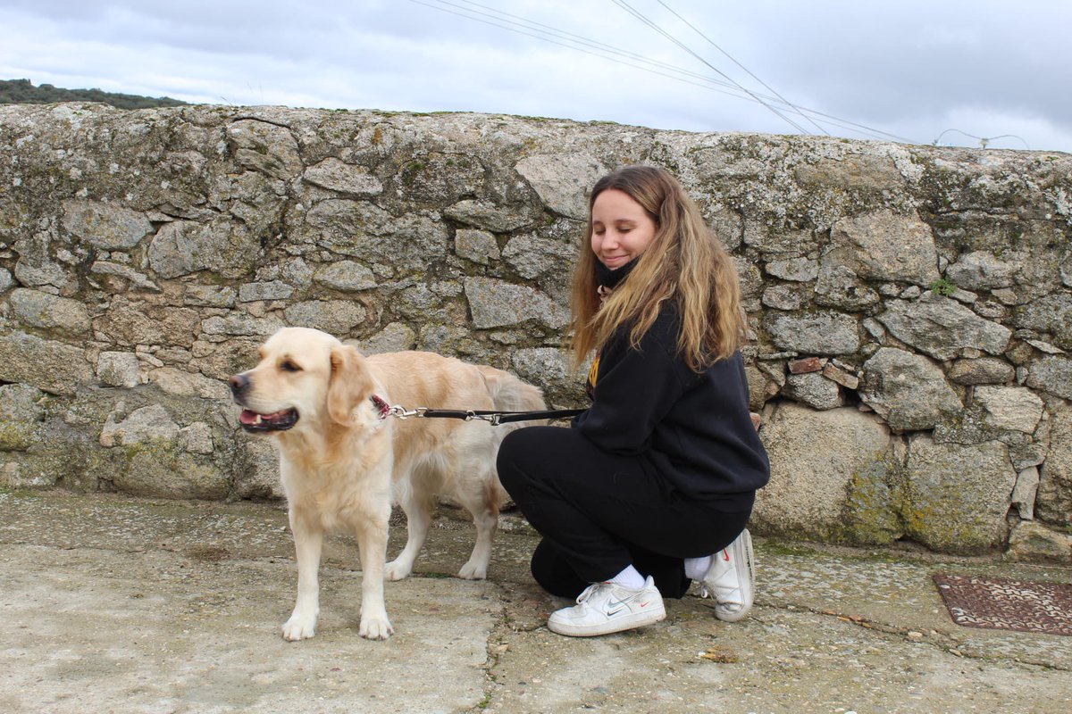 RockyPoly01's tweet photo. Feliz #DiaMundialDelPerro a lo más bonito que pudo llegar a mi vida hace casi tres añitos🥹❤️ https://t.co/yLeNaynG8E