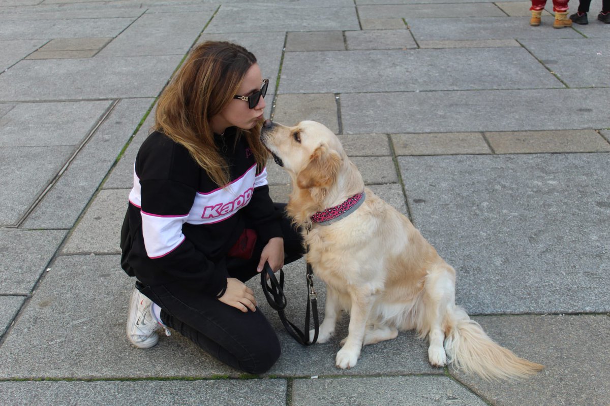 RockyPoly01's tweet photo. Feliz #DiaMundialDelPerro a lo más bonito que pudo llegar a mi vida hace casi tres añitos🥹❤️ https://t.co/yLeNaynG8E
