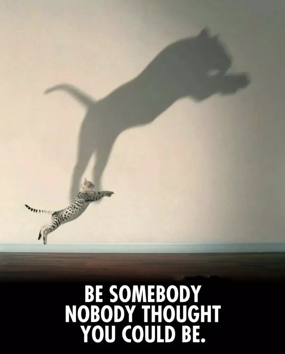 Tom_Talks_Money's tweet photo. Believe in yourself. https://t.co/L8qMPlPSK1
