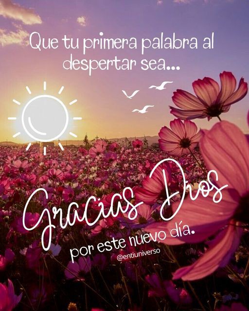 Gracias Mi Dios Por Este Nuevo Amanecer Buenos Días ☕
@YarytzaR6 @SoyYolit2 @yoibelin1 
#PoesíaLenguajeUniversal