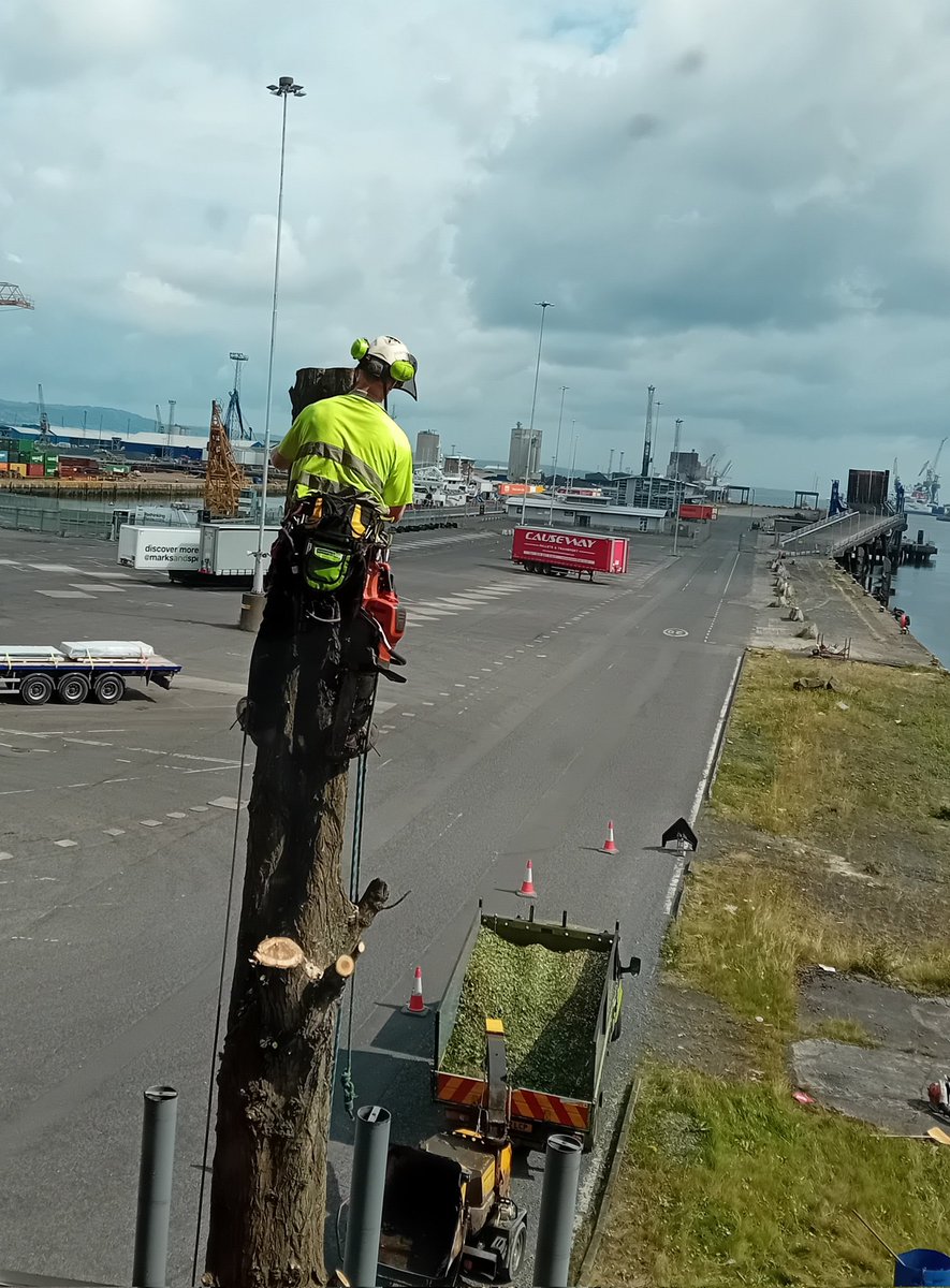 k 148 Dileagra i bPub i Richmond | ancroiait, image size:885x1200