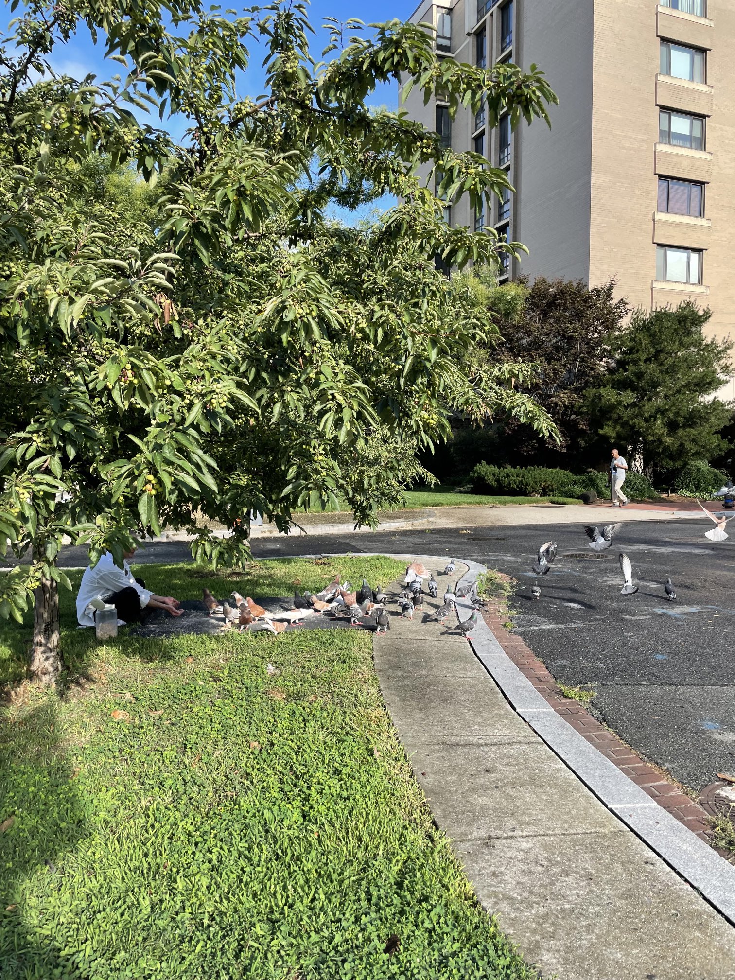 Amal Mudallali on Twitter