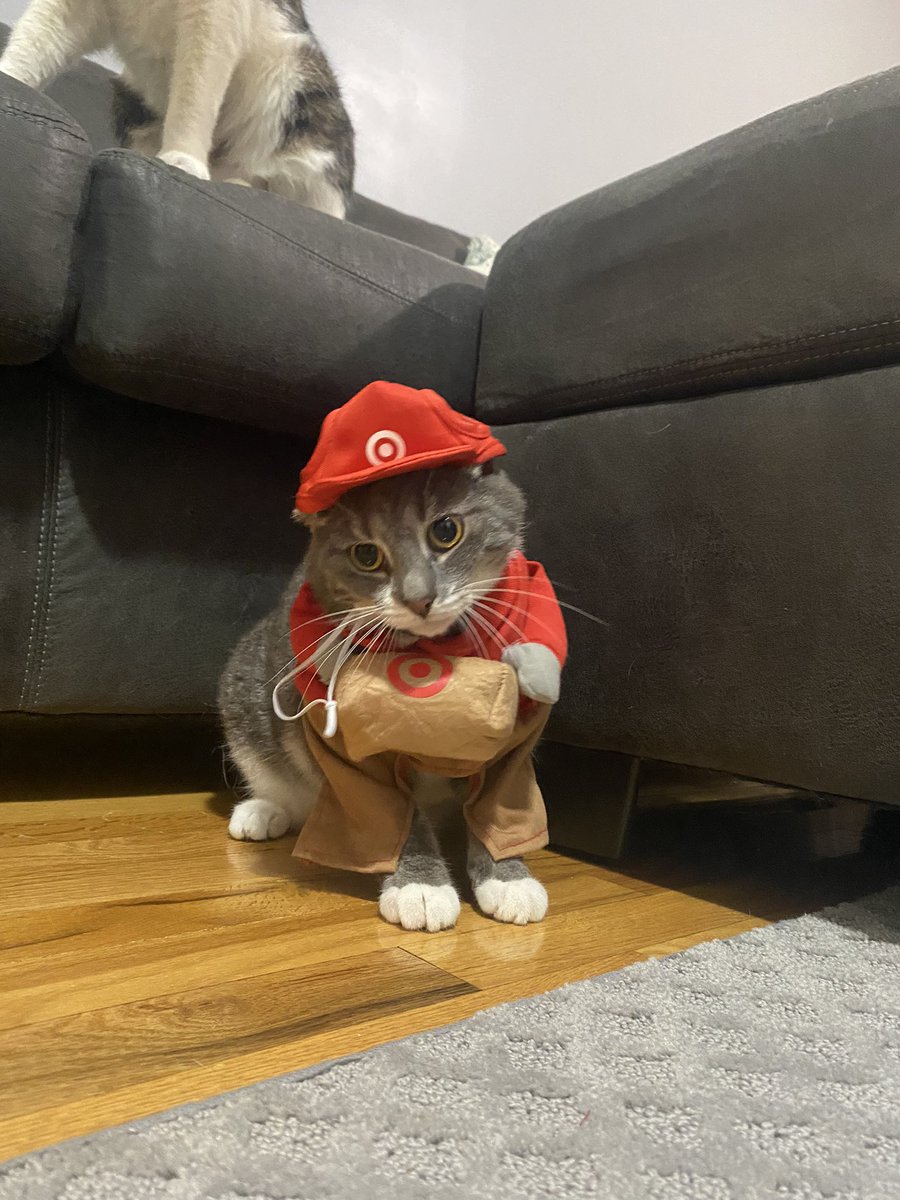 Bailey Malone tweet media