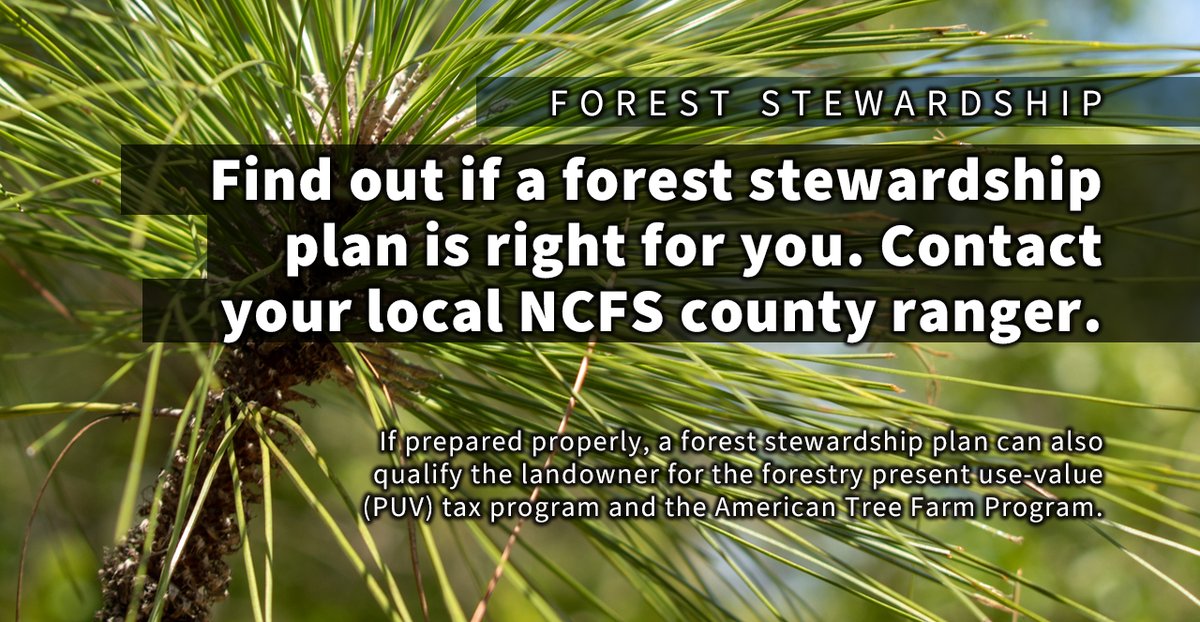 A forest stewardship plan is a comprehensive mgmt plan for landowners who want to manage for wildlife, water quality, recreation &amp; timber to keep their woods healthy &amp; leave a legacy for future generations. 
Contact your NCFS county ranger to learn more: bit.ly/3lpoWR0.