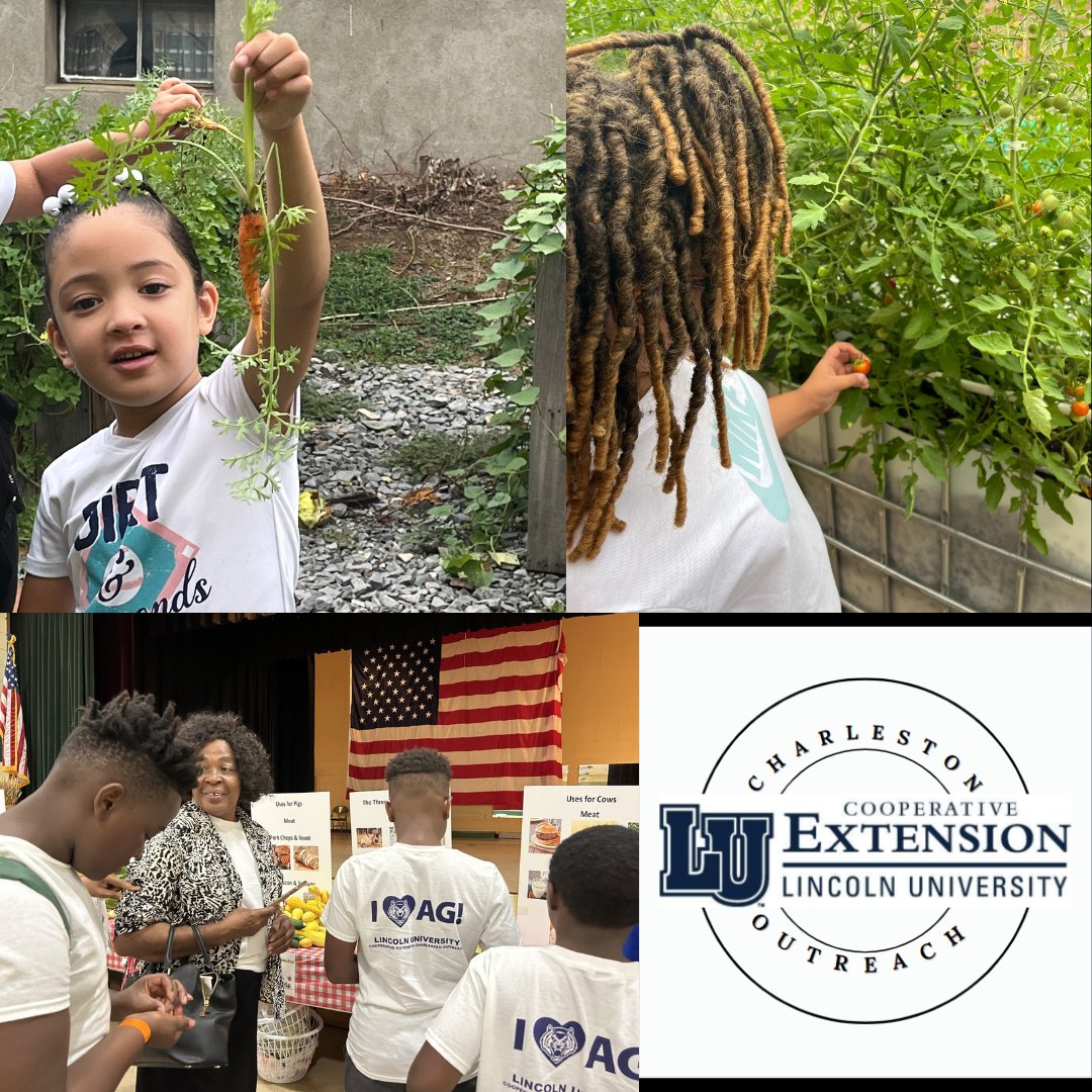 CharlestonLUCE's tweet photo. Bridging the Gap Through Agriculture Day and Week 4!! ☀💙🤍 Pt 2

Students learned about varies aspects of agriculture while enjoying tasty snow cones and bouncy houses! 

#summer #education  #Missouri #lincolnu #HBCU  #lucecharleston #garden  #farming  #agriculture #fun https://t.co/duxIMMp35Z