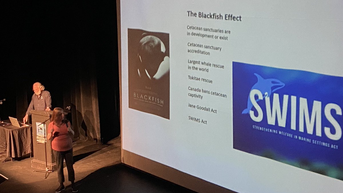 Voice of the Orcas tweet media