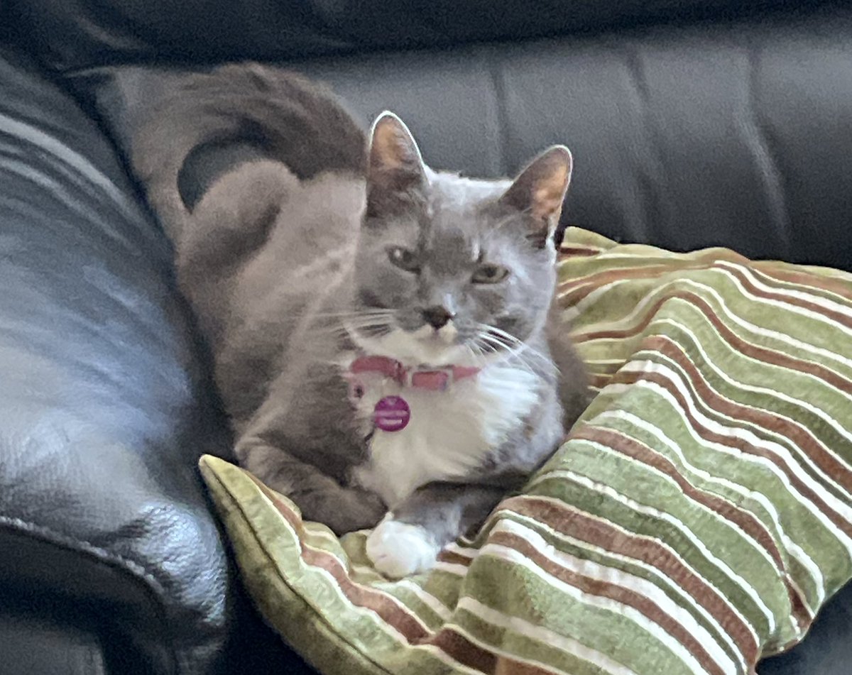 Hi friends, hope you all have a great weekend 😻 Who says I have to show my belly Mummy?! #jellybellyfriday