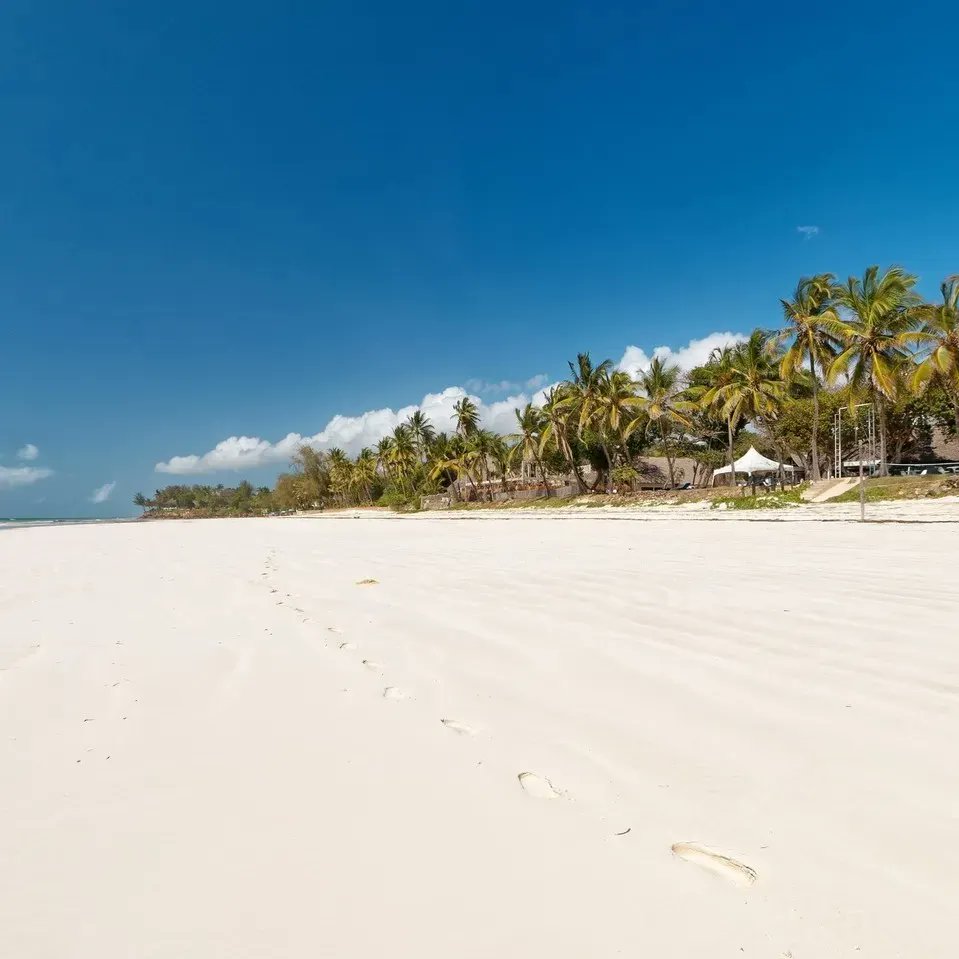 KopeTours's tweet photo. SAFARI BEACH HOTEL

PAY 3 STAY 4 NIGHTS
■ Kes  30,500 Per Person Sharing
■ Kes  45,550 In Single Room
Call us+254717868110 
Email: kopetours@gmail.com
#beach #explore #Oceans #travel https://t.co/1VR2kG3HFD