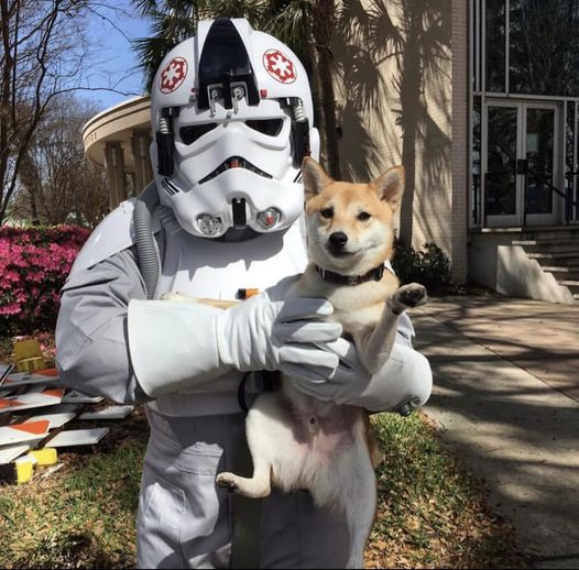The Empire loves to celebrate its best allies, which is why today we celebrate all of our very furry best friends. Member : TA-99212. @FloridaGarrison @501st_ACD #501stLegion #BadGuysDoingGood #WorldDogDay #BestFriends #AdoptisLove