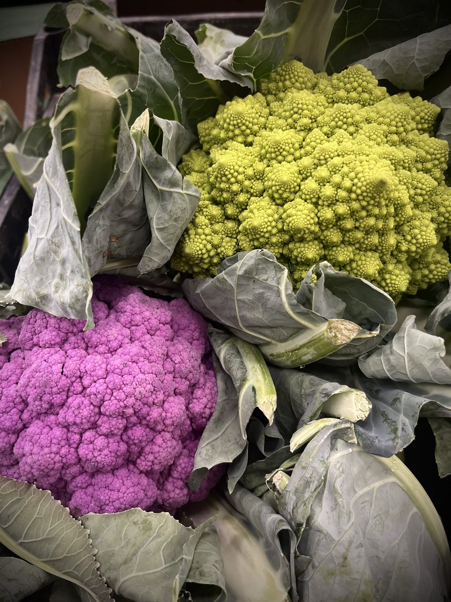 Our Farm Shop is overflowing with an abundance of fresh, seasonal veggies! 🥦🫛🥬 This week we welcome Marrows, Romanesque & Cape Broccoli…all bursting with flavour & nutrients…& that can add excitement to your recipes & dishes! 🍲🥘🍛 We’re open 8.30am-5pm Sat & 9am-4pm Sun