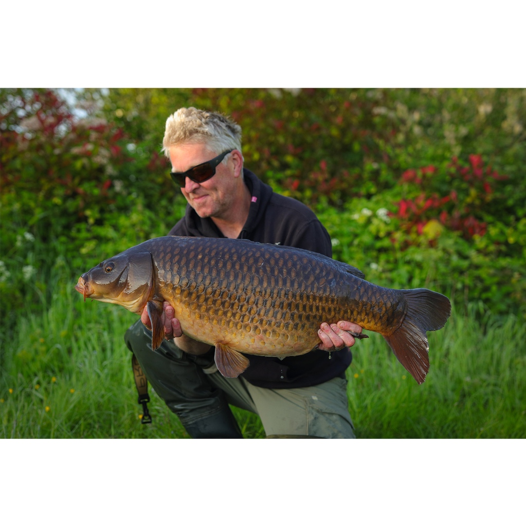 Sticky Baits tweet media