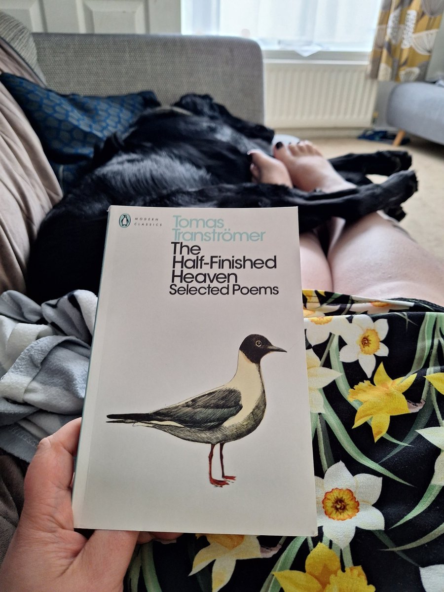 CaraSmart3's tweet image. Loving this collection so far.