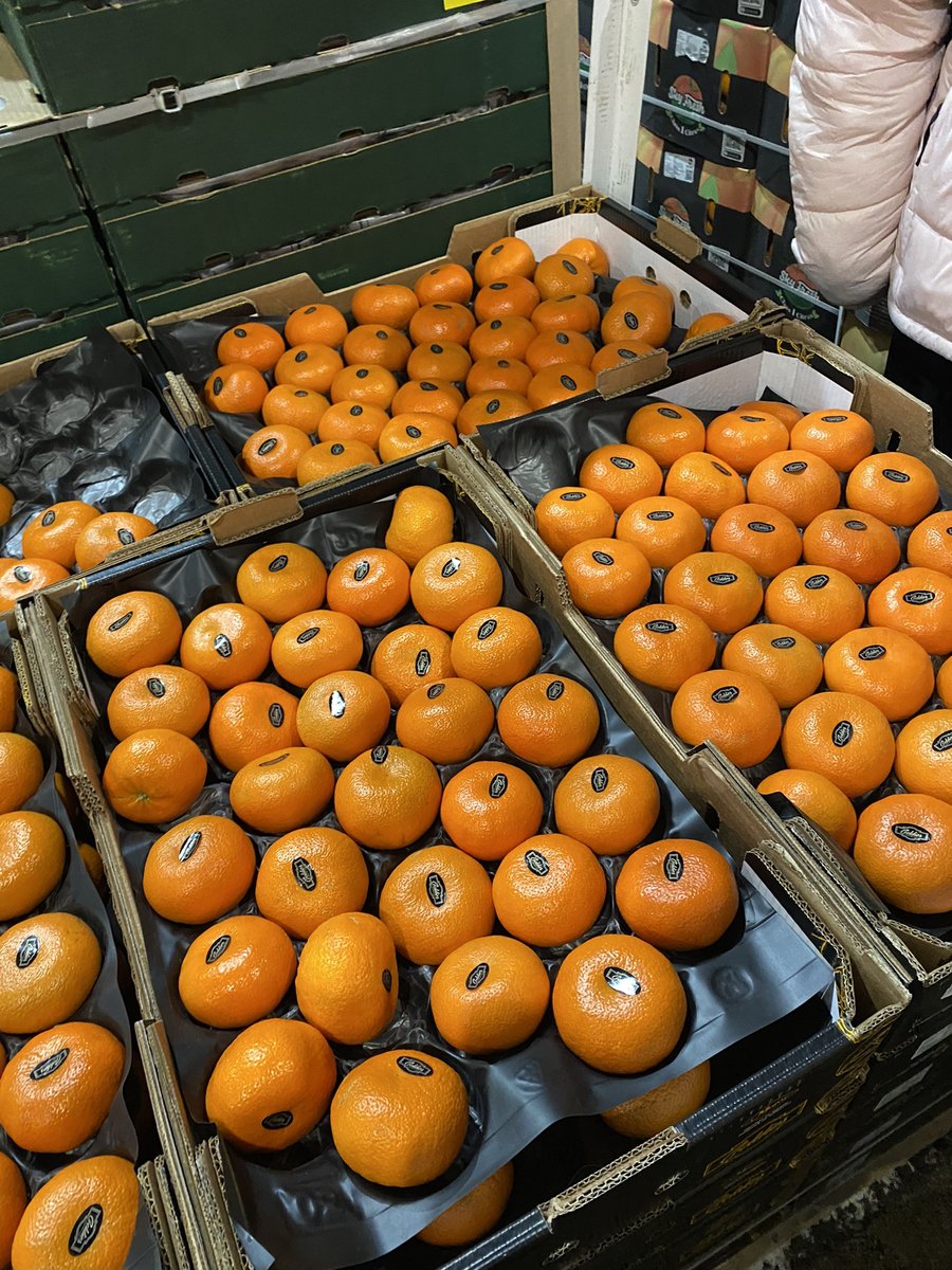 BanffVolunteer's tweet photo. Super market for purchasing of fruits🍏🍐🍋🍇 https://t.co/HygOIxryY3