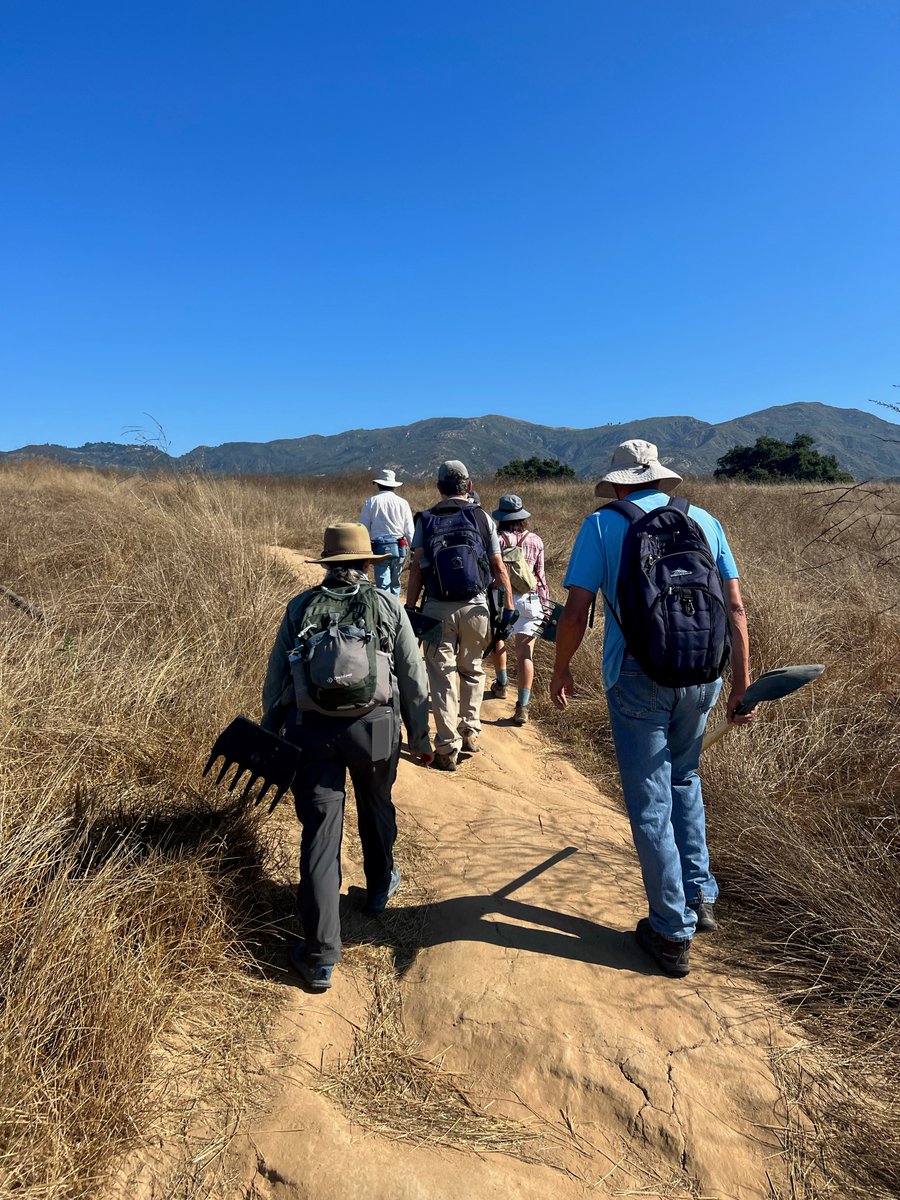 Channel Islands Restoration tweet media