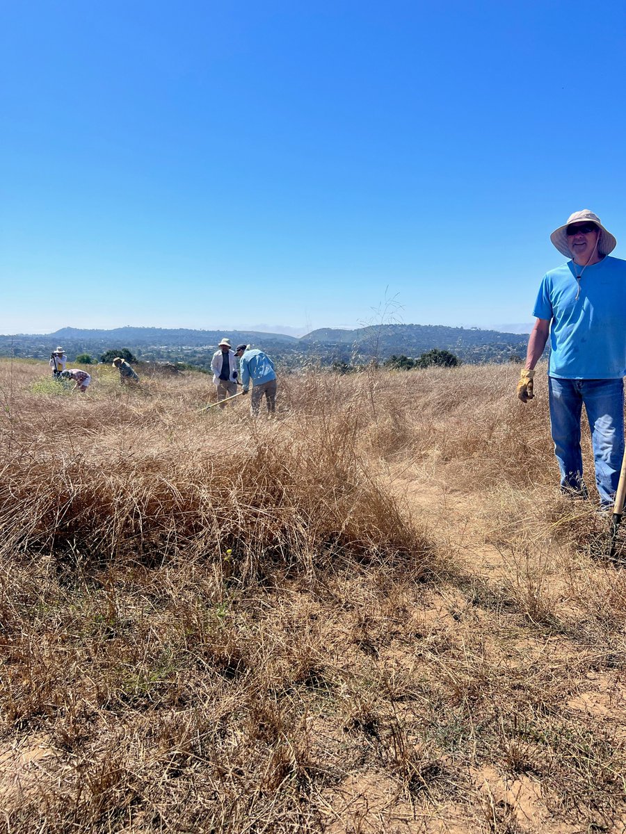 Channel Islands Restoration tweet media