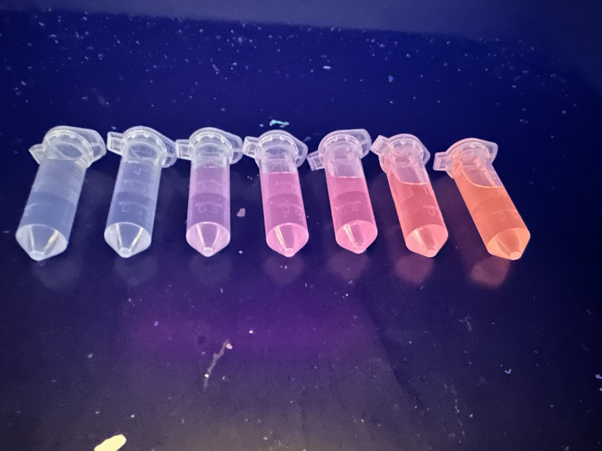 Happy #FluorescenceFriday !⚡️
#carbondots
