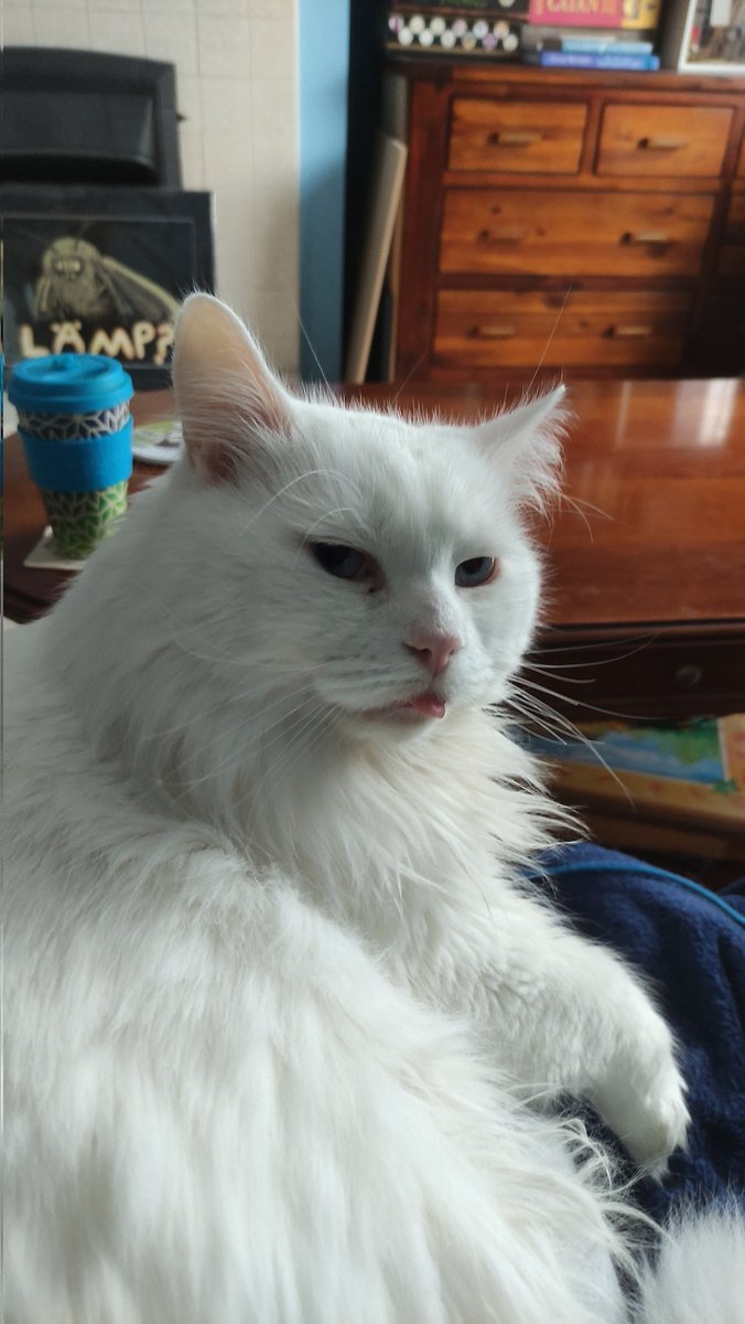 how did this guy end up in 15th cen Germany?!