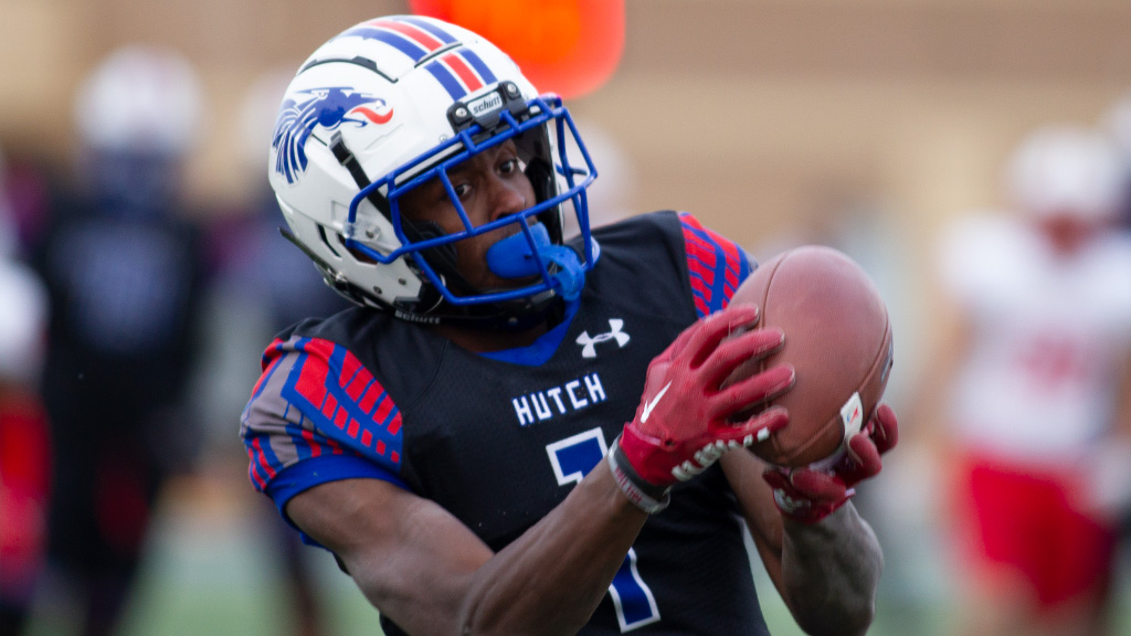 Blue Dragon Sports tweet media