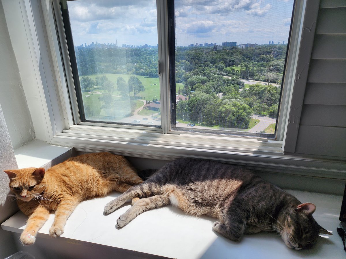 MahameruLee's tweet photo. Got 2 research assistants who just leyeh-leyeh and rebahan for the whole day. Idk how I can get my work done. https://t.co/uhQc5UFP5S