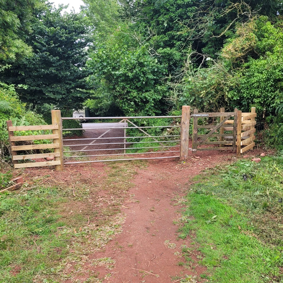 Cockington Park tweet media