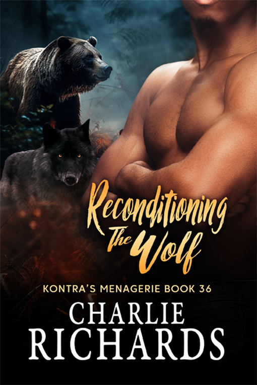 Reconditioning his Wolf by Charlie Richards is available now! #exbdd #newrelease #ebook #lgbtq #charlierichards #MMRomance extasybooks.com/Reconditioning…