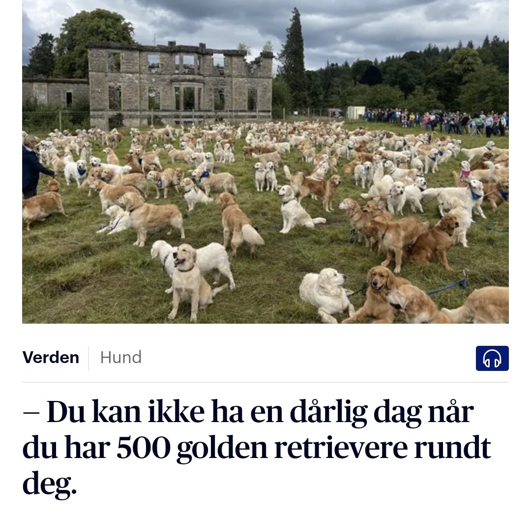 Spørst vel kor svoltne dei er.