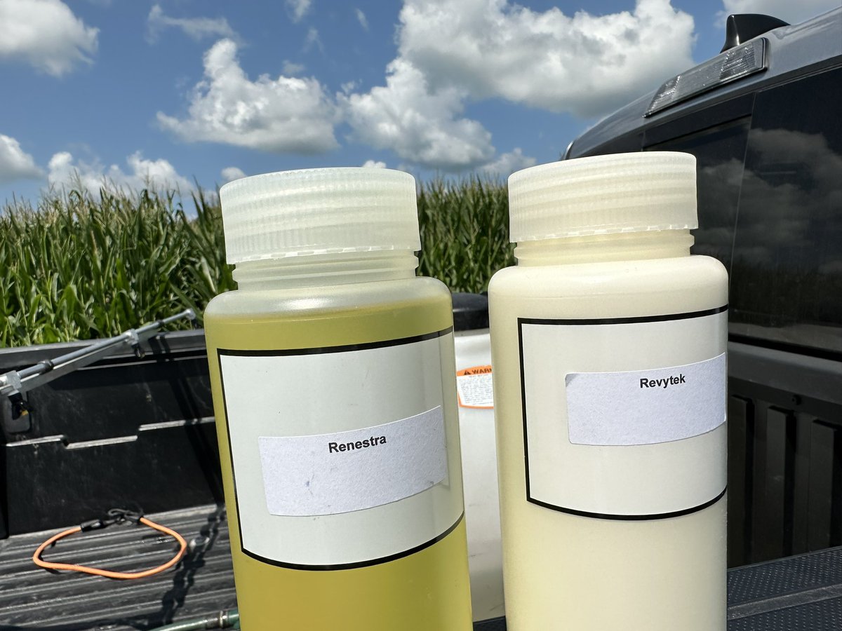 BillBackhaus's tweet photo. Perfect day to spray #Revytek & #Renestra on #GetToKnowXitavo trials. Looking at the interactions between an R3 application vs UTC x 6 Varieties x Seeding Rate (100K, 140K, 180K). XO 3803E leaf shown with Japanese Beetles present. Plus 12 other varieties x UTC @BASFAgProducts https://t.co/wJjqhyLhTO