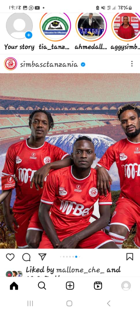 AmafNet's tweet image. 2023/2024 simbaaaaa