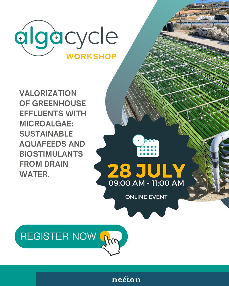 Alga Cycle tweet media