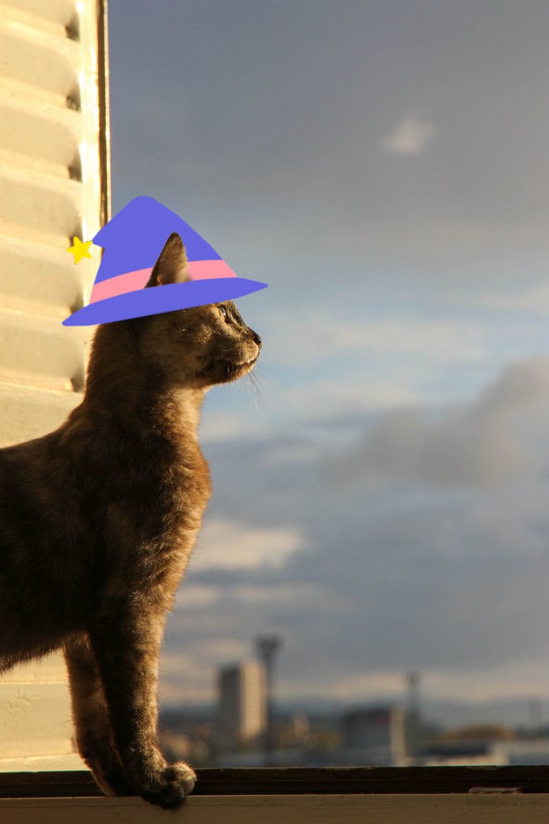 SpookySwap's tweet image. Now that the cat is out of the bag, yes we are looking out at the Horizen and beyond. 

We are readying our paws for the future so expect a lot of news for the #spookysquad to pounce on. 

$BOO $FTM $ZEN