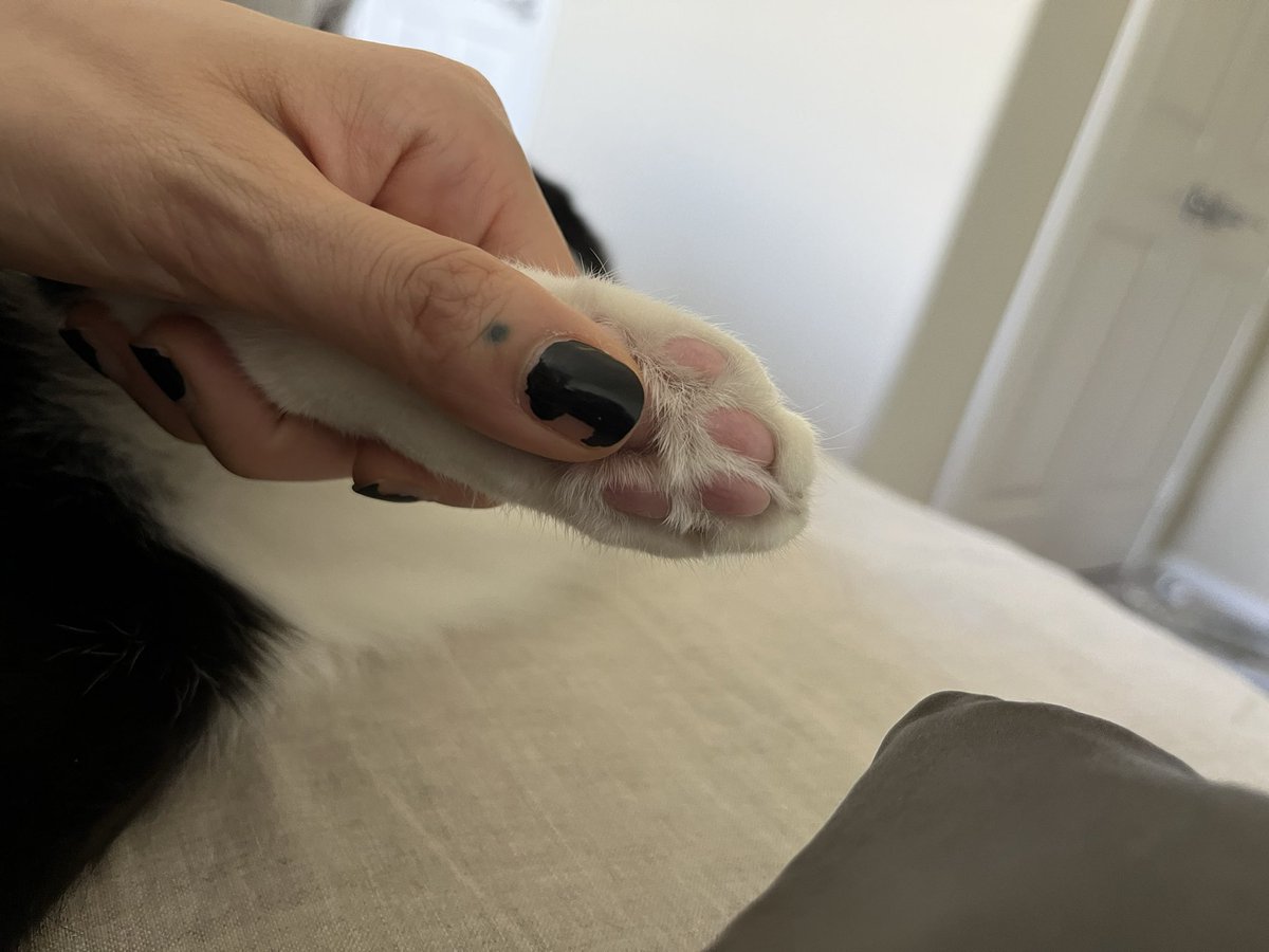 「 azuria sky 」 (@azuria_sky) on Twitter photo 