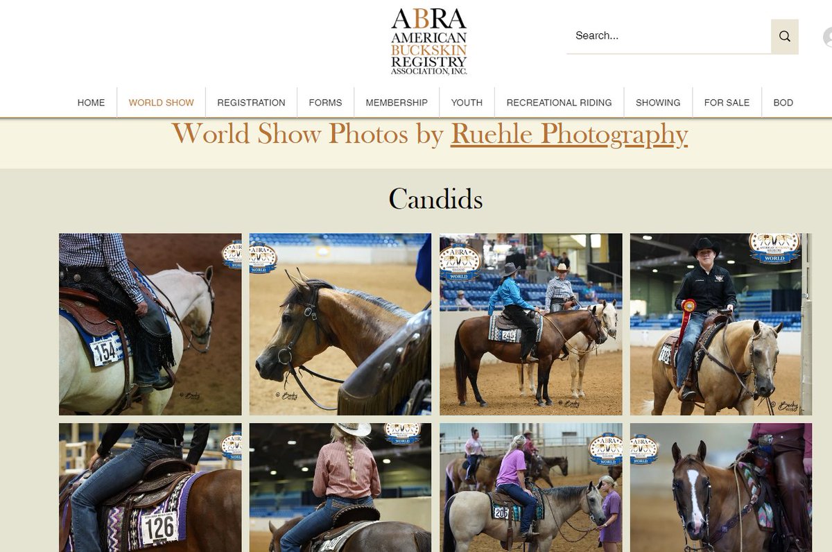 abraoffice's tweet photo. World Show Photos by Ruehle Photograpix is up on the website for viewing.
👉 Candids
👉 Area Champions
👉 Backdrop Champions
Thank you, Becky, for the beautiful photos!
Click here to view photos: https://t.co/YzPwp2isIw
#worldshow #horseshows #photography https://t.co/LCwvzyVUcN