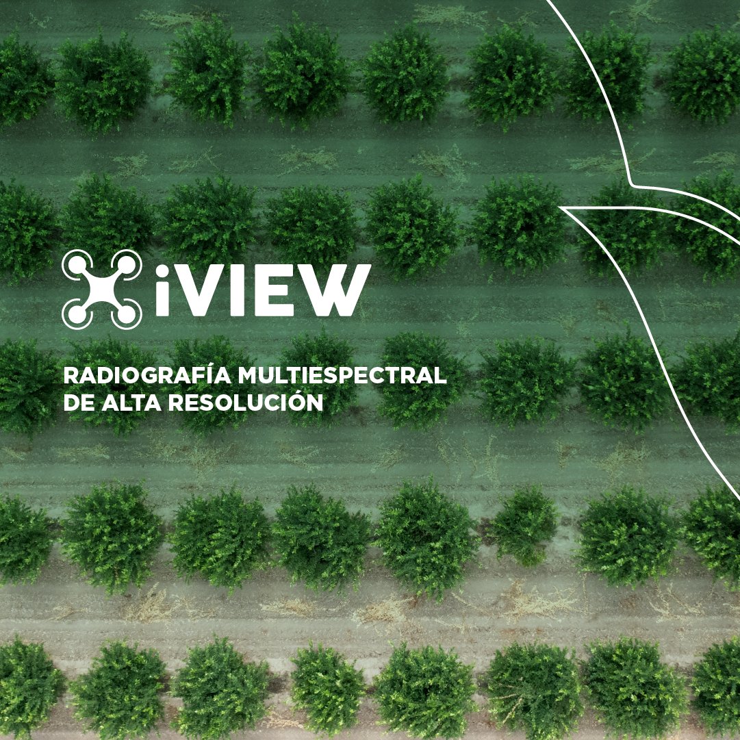 Cuantifica y zonifica la salud de tu huerto con #iVIEW, radiografía multiespectral de alta resolución.

Esto nos permite identificar y evaluar de manera precisa las principales problemáticas que afectan la productividad de tu cultivo y tomar las decisiones adecuadas.

#NutrienCL